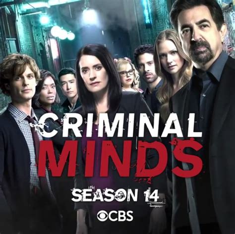 Criminal Minds Season 14 Dvd Review Fangirlnation Magazine