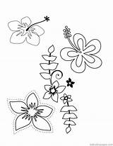Coloring Pages Flower Tropical Hawaiian Plumeria Flowers Hawaii Printable Luau Print Choose Themed Color Popular Colouring Drawing Getcolorings Board Comments sketch template