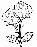 Bunga Mewarnai Untuk Mawar Marimewarnai Besar sketch template