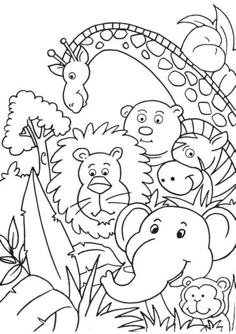 jungle animal colouring book amazing colouring book  kids etsy
