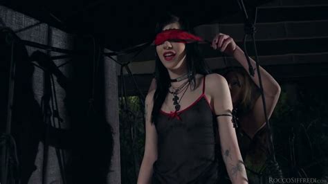 fabulous brunette cutie blindfolded and bound to intensify