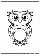 Owl Owls Iheartcraftythings sketch template