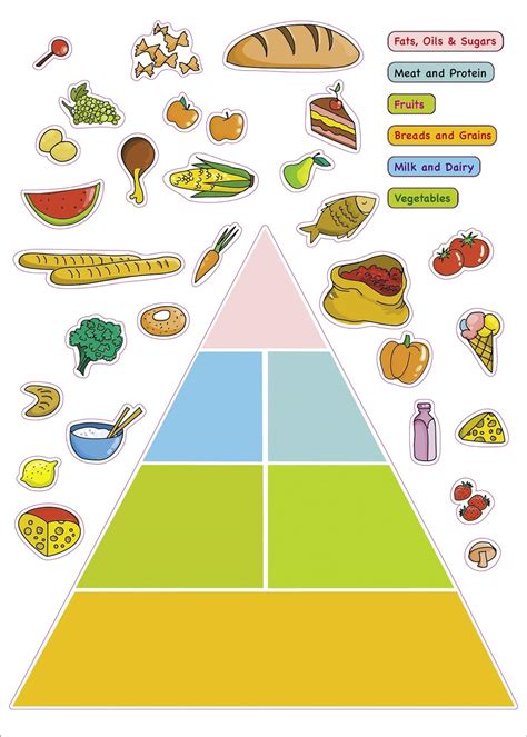top  food pyramid poster  kids home previews