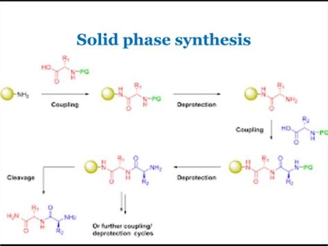 solid phase synthesis synthesis  solid support youtube