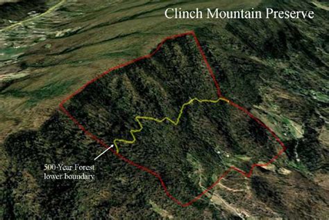 clinch mountain preserve  year forest foundation
