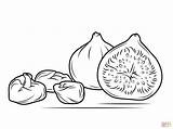 Figs Fichi Higos Secos Fighi Coloring4free Secchi Animata Disegna Frutta Frescos Freschi Parable sketch template