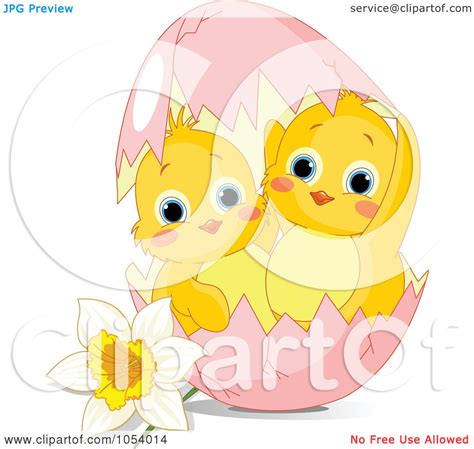 royalty free vector clip art illustration of two cute chicks in a pink easter egg by a daffodil