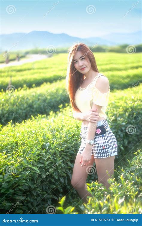 Smile Thai Woman Stand In Tea Plantation Chiangrai Thailand Stock