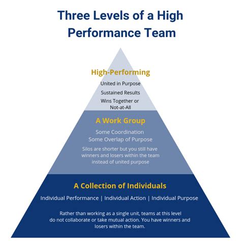 levels   high performance team business  community