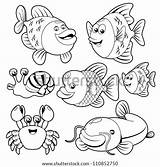 Fishs Collection Sarawut sketch template