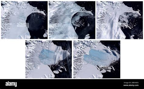 larsen  ice shelf collapse antarctica stock photo alamy