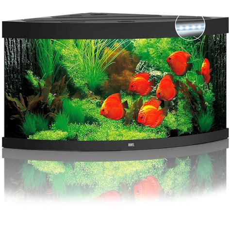 juwel trigon  led aquarium  liter schwarz