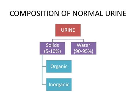 normal constituents  urine
