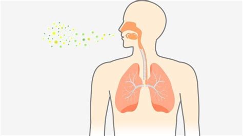 pneumonia symptoms and causes everyday health