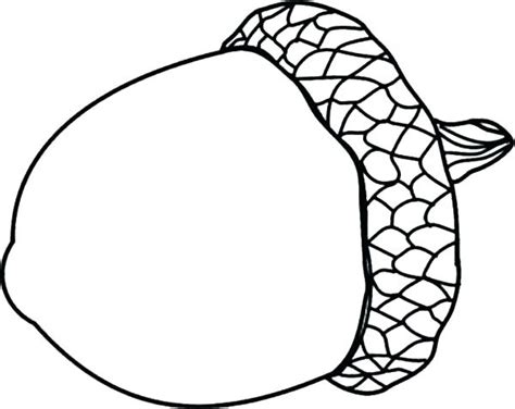 printable acorn outline  shit