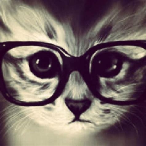 nerd kitty hipster cat cat glasses kittens cutest