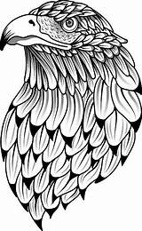 Eagle Zentangle Aquila Aguila Mandalas Stencils Stilizzato Stilizzata Tatuaggi Stilisiertes Gekritzel Stylized Uccello Testa Tribal sketch template