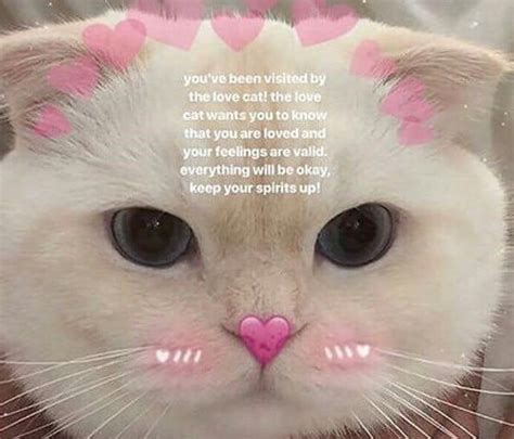 18 Wholesome Memes To Start The Week Off Right Cute Love Memes Cute