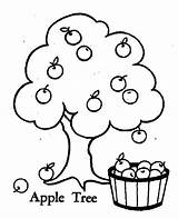 Apples Picking Orchard Coloringpagesfortoddlers sketch template