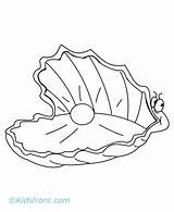 Oyster Coloring Clam Pages Shell Drawing Giant Printable Getdrawings Kids Getcolorings Find Color Drawings sketch template