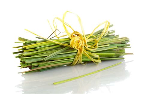 surprising benefits  lemongrass daily health series