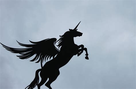 unicorns      firms raise  billion venturebeat
