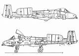 Blueprints Warthog Thunderbolt A10 Fairchild Blueprint 10a Ferrière Smcars 3v sketch template