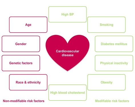 the must know facts about heart disease in women ayoti blog