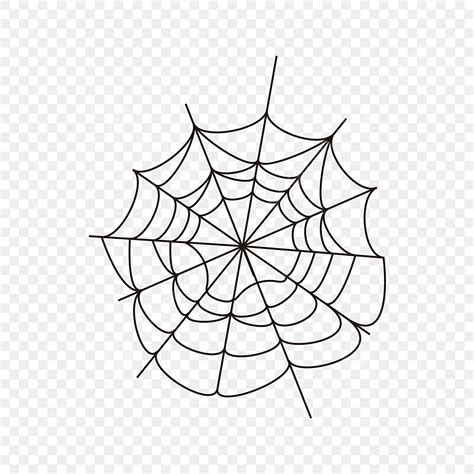 black spider web spider drawing web drawing spider sketch png  vector  transparent