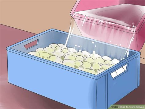 4 Ways To Cure Olives Wikihow
