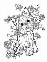 Yorkie Terrier Coloring Pages Cindy Elsharouni Dog Yorkshire Print Puppy Cute Animal Adult Bulldog Printable Painting Fineartamerica Sheets Choose French sketch template