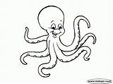 Octopus Coloring Print Pages sketch template