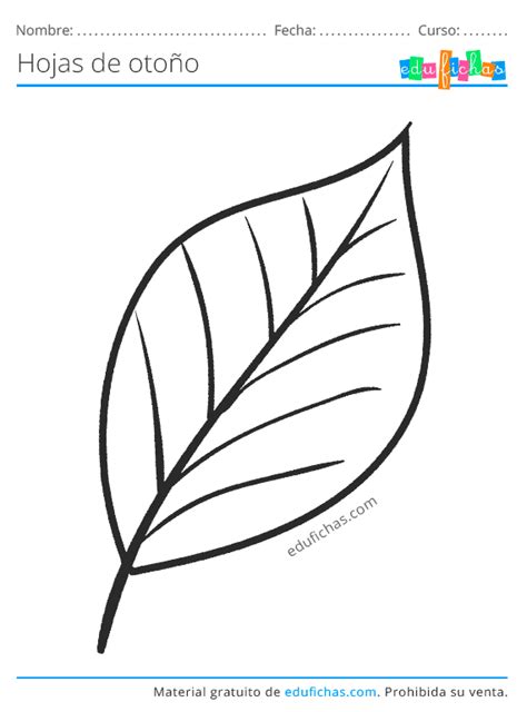 moldes plantillas de hojas de arboles  imprimir dibujos de