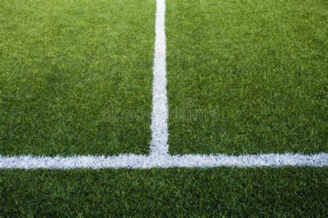 soccer field  lines stock photo image  area leisure