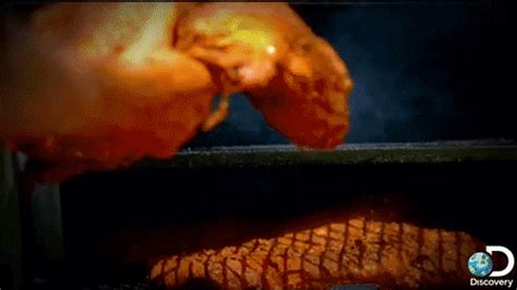 food porn cooking find and share on giphy