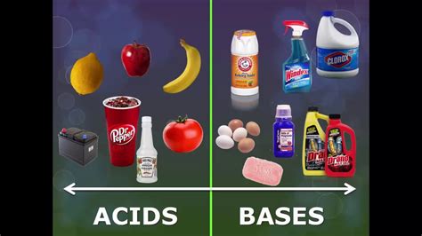 ul facts  acids  bases youtube