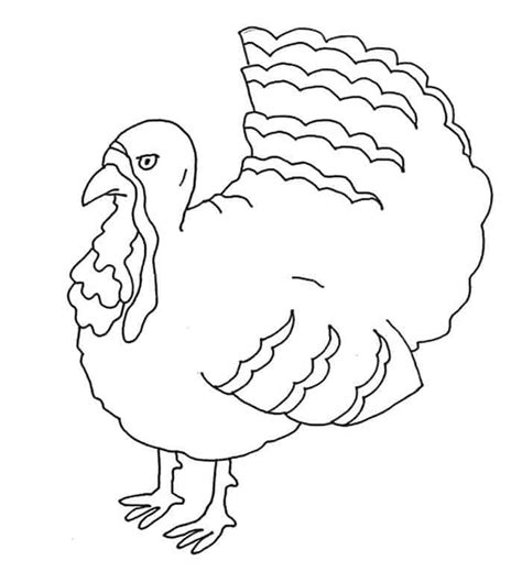 turkey coloring pages  preschoolers turkey coloring pages animal