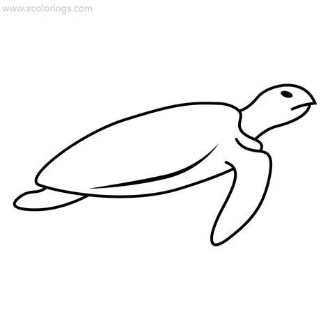 sea turtle coloring pages  adults xcoloringscom