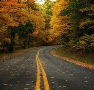 Image result for Fr - Forest Road. Size: 193 x 185. Source: wallpaperaccess.com