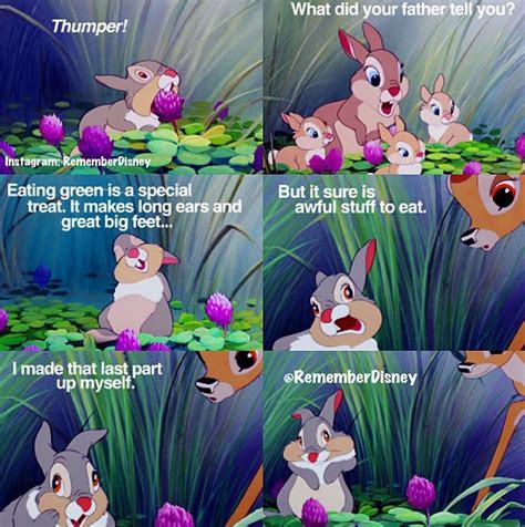 Quotes From Bambi Quotesgram