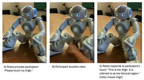 how would you feel if a robot asked you to touch its buttocks ars technica