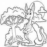 Kangaroo Coloring Pages Koala Marsupial Surfnetkids Australia Carries Joeys Marsupials Pouch Called Check Young Its These sketch template