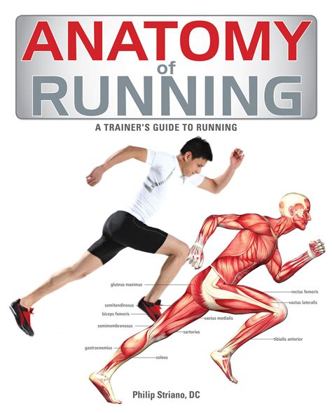 anatomy  running book cover