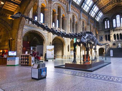 dippy the diplodocus natural history museum dinosaur to be replaced