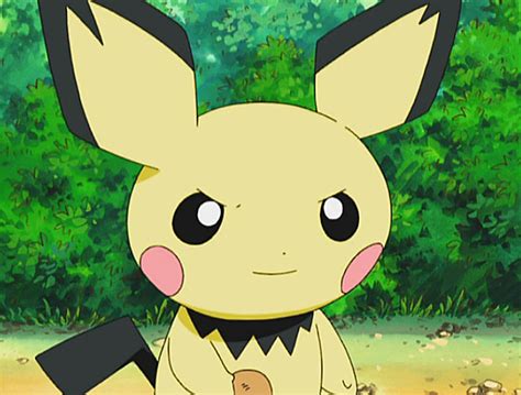 Sho S Pichu Pokémon Wiki Fandom Powered By Wikia