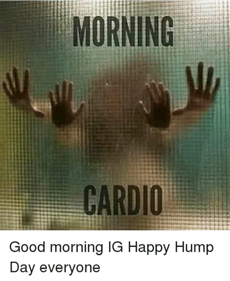 funny good morning hump day memes