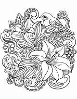 Flower Skylark Supercoloring sketch template