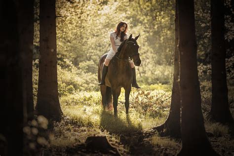 horse photography rhorses