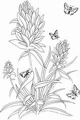 Coloring Pages Butterfly Flowers Flower Kids sketch template