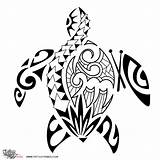 Turtle Tattoo Hawaiian Sea Tribal Samoan Drawing Designs Maori Tattoos Polynesian Honu Turtles Drawings Getdrawings Ray Tattootribes Meaning Family Drummer sketch template
